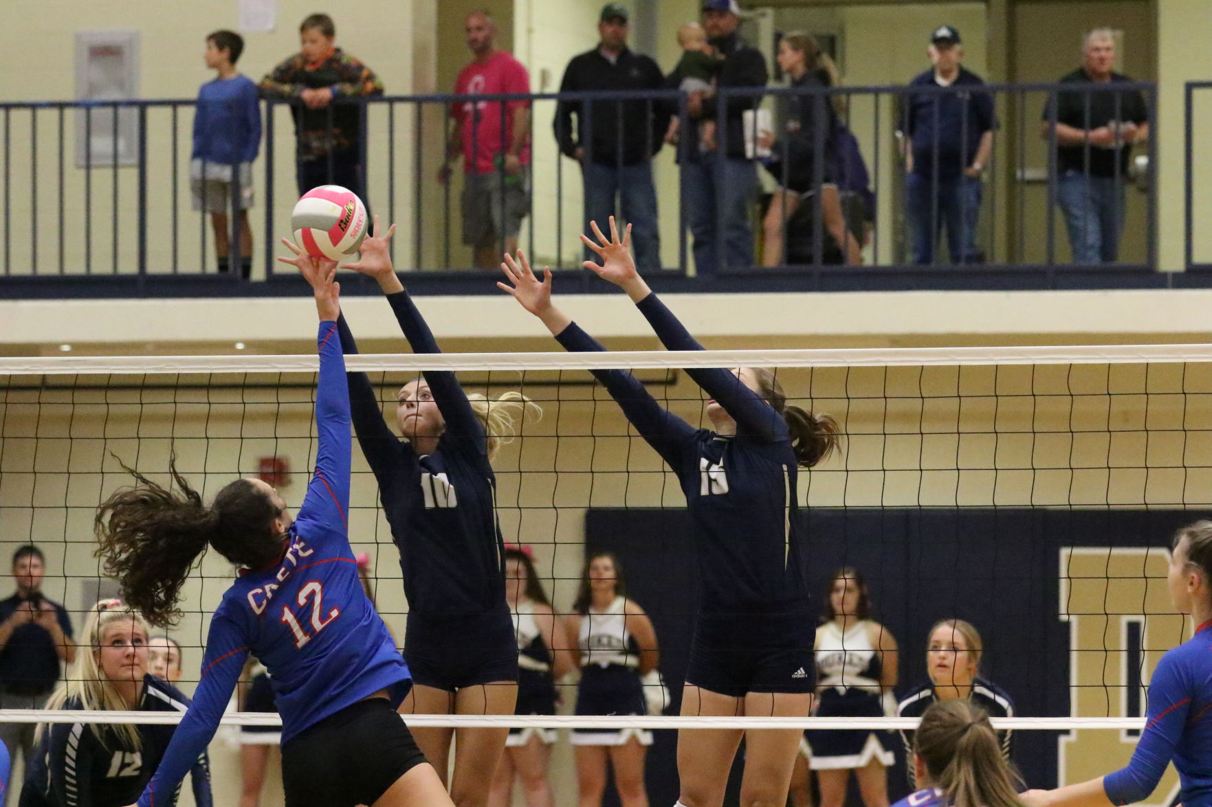 Volleyball (47).JPG